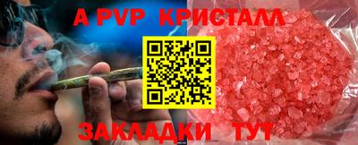 стаф Донской