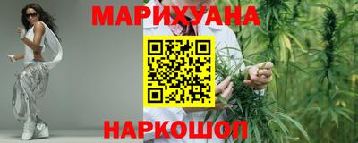 стаф Донской