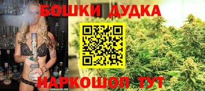 стаф Донской
