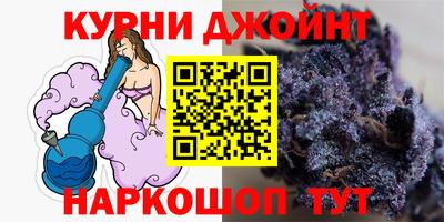 стаф Донской