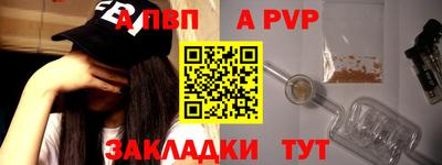 стаф Донской